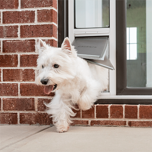 Weather Tight Pet Doors by Coughlin Windows and Doors
